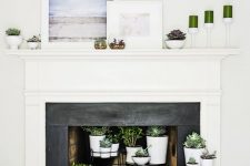 11 a fireplace with a white mantel and a black surround, potted succulents inside it and on the mantel