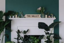 14 a white non-working fireplace with a chic surround and potted greenery and cacti inside it and on the mantel