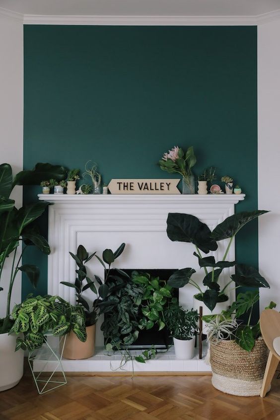 a white non-working fireplace with a chic surround and potted greenery and cacti inside it and on the mantel