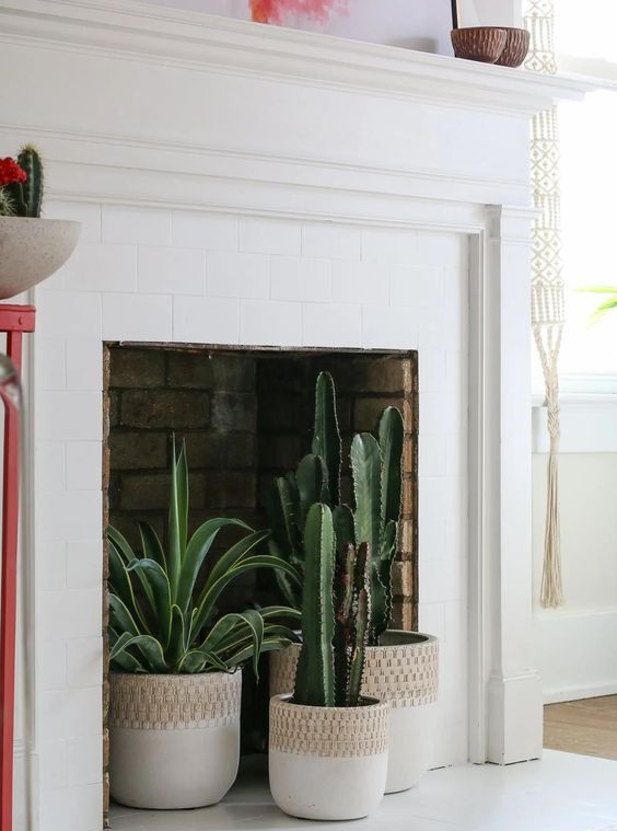 A non working fireplace with a trio of matching planters, succulents and cacti is great for a boho living room