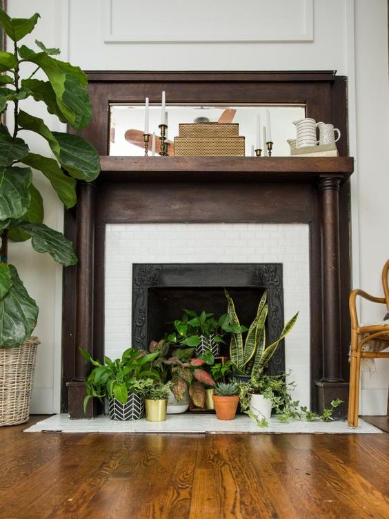 A non working fireplace with potted greenery and succulents, boxes, candles and jugs on the mantel for a boho space