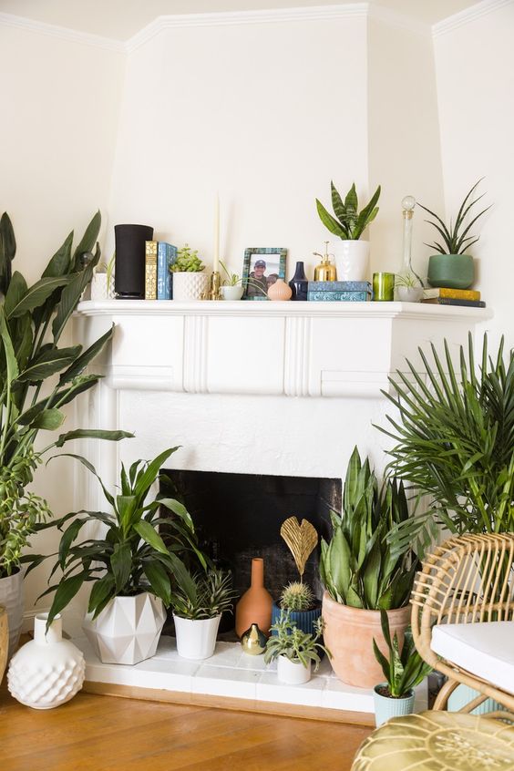 A non working fireplace with potted greenery, cacti, succulents and planters on top plus books on the mantel