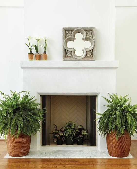 A non working fireplace with potted plants, large ferns in planters on both sides of the fireplace, potted blooms and a mirror