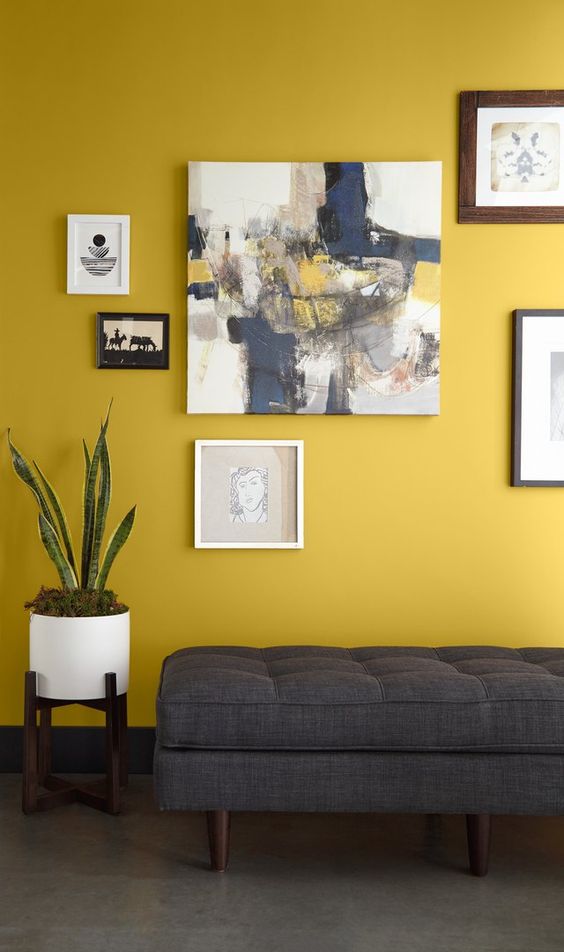 a bold entryway with a mustard accent wall, a grey upholstered bench, a bright gallery wall, potted plants
