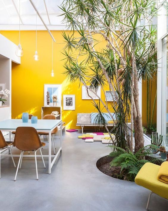 a bright contemporary living room and dining room with a yellow accent wall, catchy furniture, living trees and touches of blue