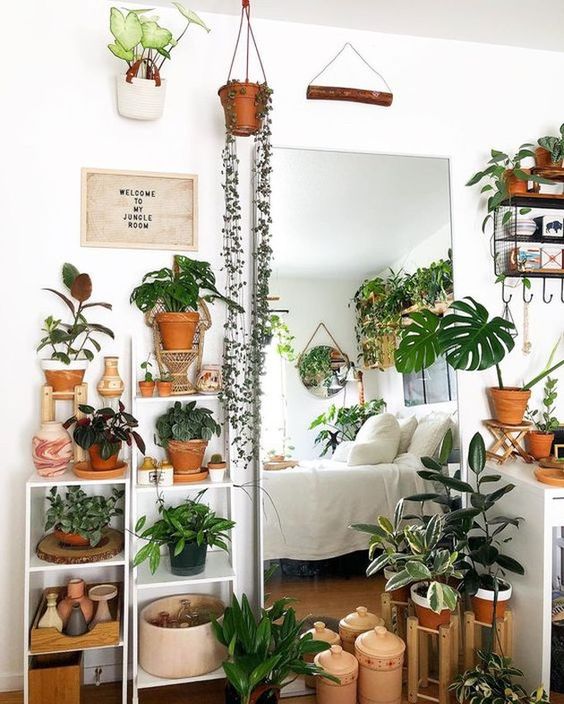 02 a plant-themed bedroom with potted greenery all over – on the shelves, suspended and even on the walls is wow