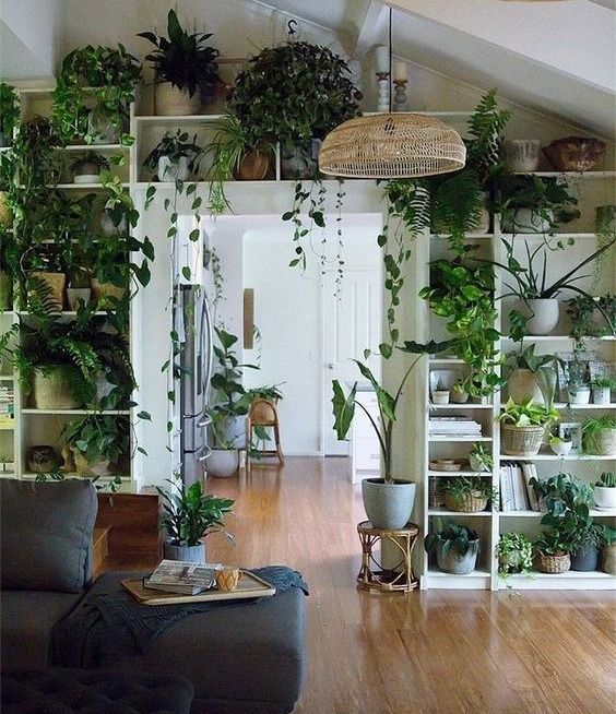 13 a whole wall with an open storage unit fully done with potted greenery and plants of various kinds is amazing