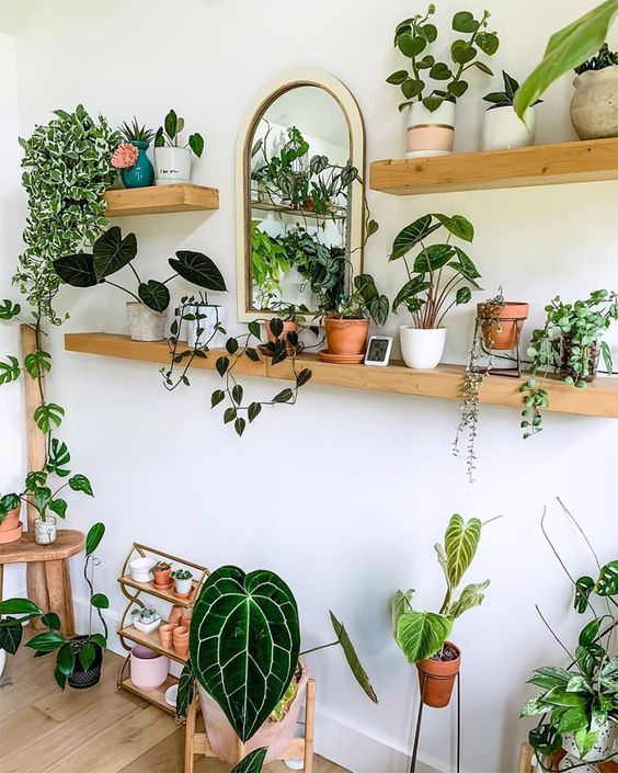 14 open shelves with potted greenery and plants will refresh any space and make any room look like orangery