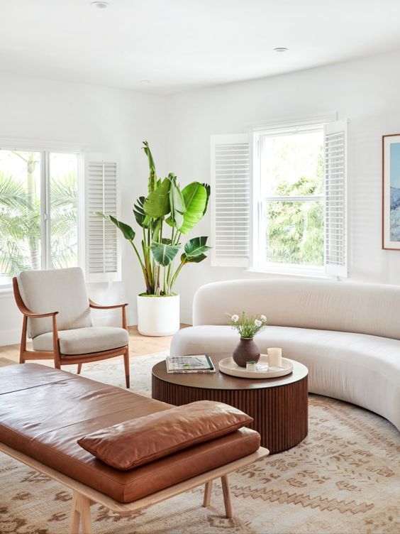 a chic neutral living room with a curved sofa, a leather daybed, a cool chair and a statement potted plant
