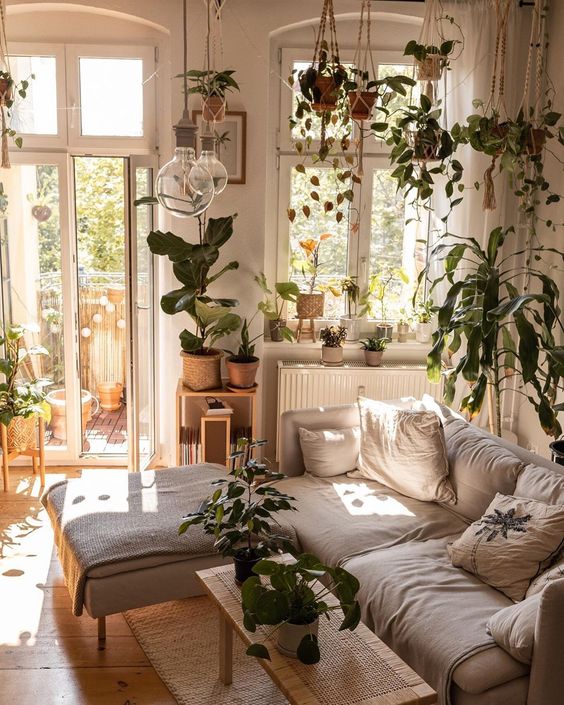 A neutral living room turned into an orangery   with lots of potted plants suspended and on the furniture