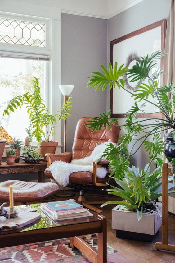 a stylish modern living room with leather and wood furniture, potted plants and printed textiles