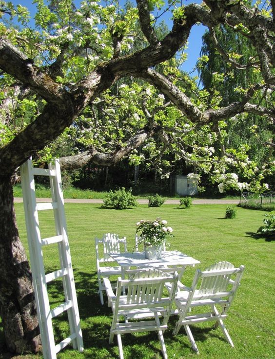 a cozy garden dining space under the tree, on a green lawn, with simple and cute white garden furniture and a ladder