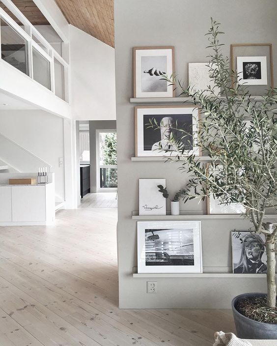 a grey wall with matching ledges, black and white artworks in light colored frames and greenery in vases looks very airy and Scandi