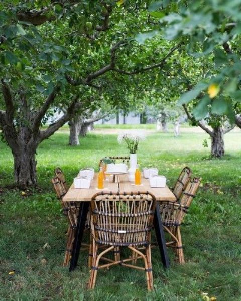 a small and cute dining space with a wooden table and rattan chairs under the trees is great for meals