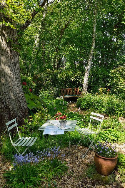 a small garden earing space with simple garden furniture, greenery and potted blooms organized under a tree