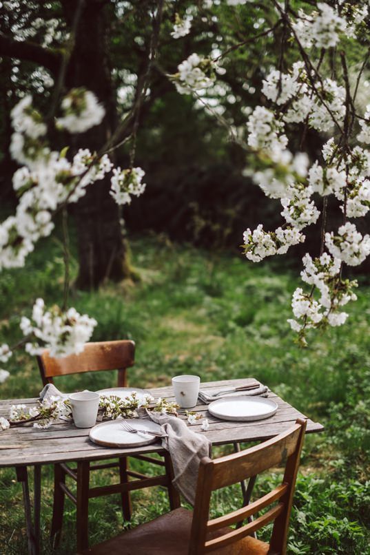 A vintage inspired dining zone with a wooden table and vintage chairs placed under the blooming trees