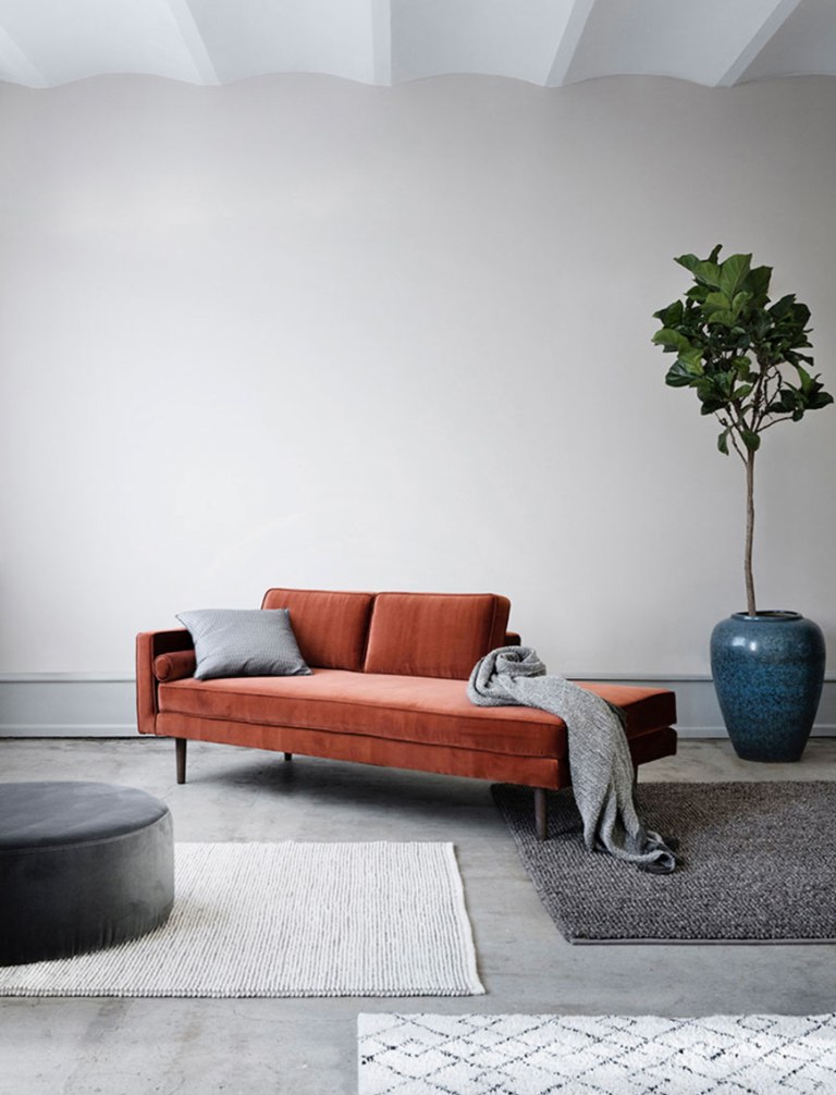 14 a minimalist living room done in monochromatic greys, a terracotta couch, a potted tree in a blue planter that adds color, too