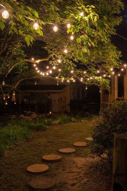 string lights hanging right on the trees will make your backyard look magical and beautiful