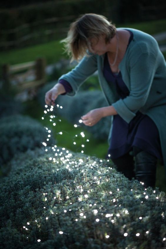 18 place fairy lights right on the plants to make your backyard lit up and make it look magical at the same time