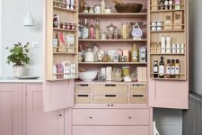31 a pink mini pantry built into the kitchen is a lovely idea to store a lot of things and organize them at your best