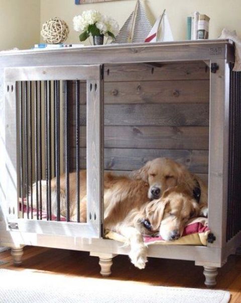 a rich-stained dog kennel with a sliding door and mattress taken by two pets doubles as a side table in a famrhouse room