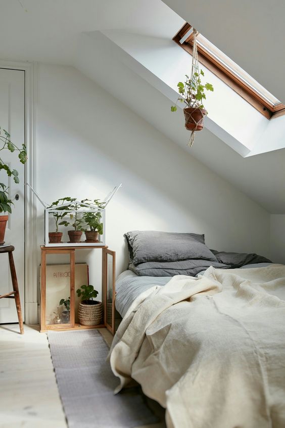 a cozy natural attic bedroom with a skylight lets enjoying sunlight in the morning and lots of potted plants that enjoy this light