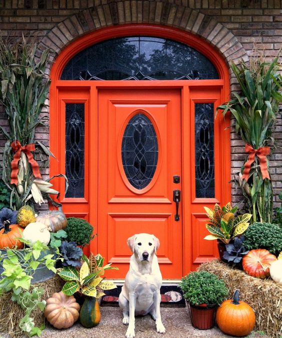 a vintage orange front door with refined maosic glass inserts and with lush natural fall decor that highlights the look and the color