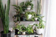33 a stylish Scandinavian ladder plant stand with various black and white planters and lots of greenery plus a hanging lamp is amazing