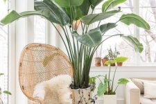 34 oversized statement plants are always a good idea to accent any space, put on in the corner and the room will be gorgeous