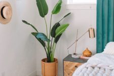 37 a statement plant in the corner of your room will instantly make your room cooler and bolder and will add a fresh touch to the room