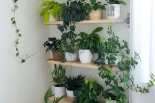41 open shelves with lots of potted greenery and succulents is a cool idea for a modern and fresh space