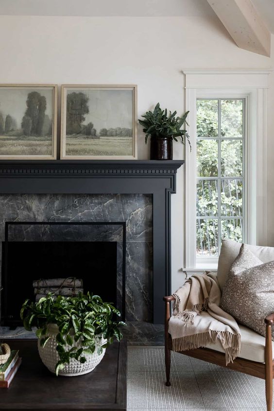 a contrasting living room with a black marble fireplace, a neutral chair, a coffee table and some greenery