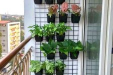 05 a simple metal grid and black planters, with lots of foliage is a great decoration for a small balcony, and a cool way to refresh it