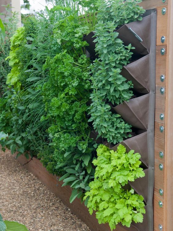 a lovely vertical garden of metal, fabric and wood will let you have a lot of plants wherever you want and need