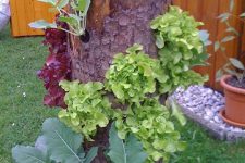 30 a tree stump with greenery and blooms is a creative idea that can substitute a usual planter and let you repurpose