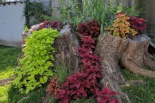 36 a giant tree stump turned into a real mini garden is a gorgeous way to make use of your old tree stump that may seem an eye sore