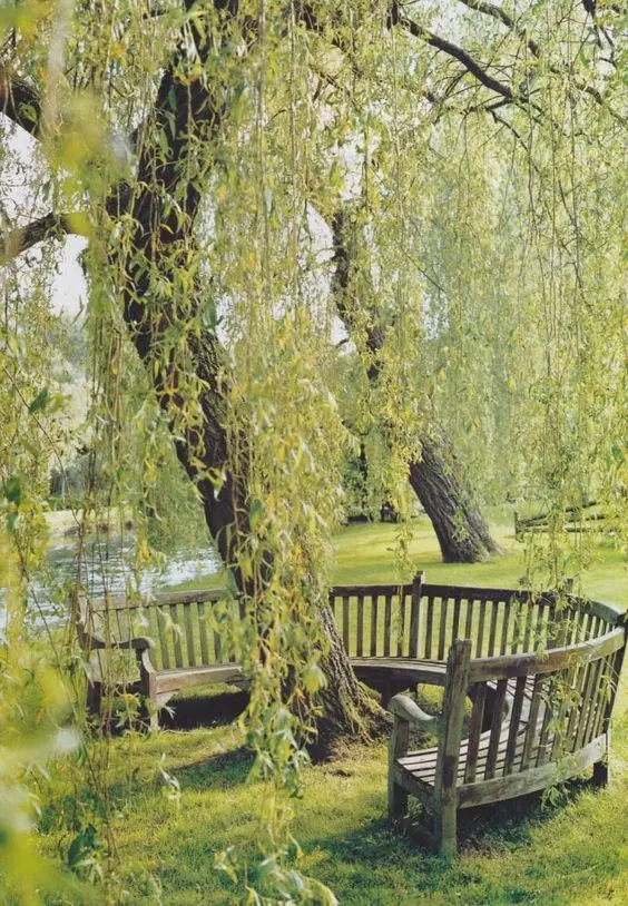 a curved wooden bench around the tree is a lovely piece to sit on, it's a great space to have a rest and enjoy the views