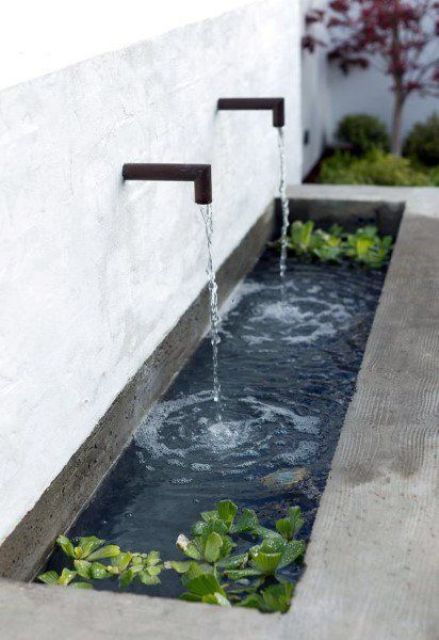 a modern fountain with two faucets in the wall, a large concrete bowl with water plants is a gorgeous idea