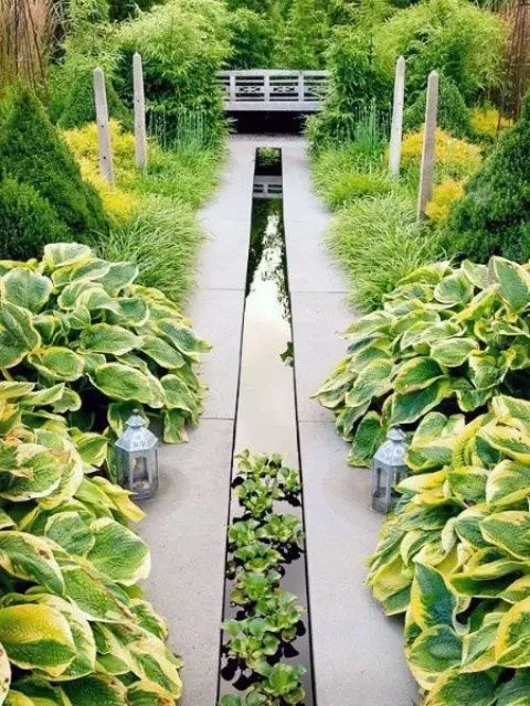 a modern narrow water garden with water plants is a very refreshing idea for this garden, it adds interest to the space