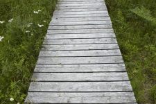 a rustic wooden pathway with greenery and wildflowers around is a perfect idea for any rustic or shabby chic space