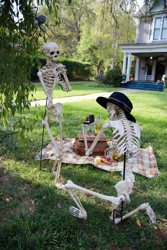 a skeleton picnic with a proposal is a cool and fun idea for your outdoor space, it will make everyone laugh