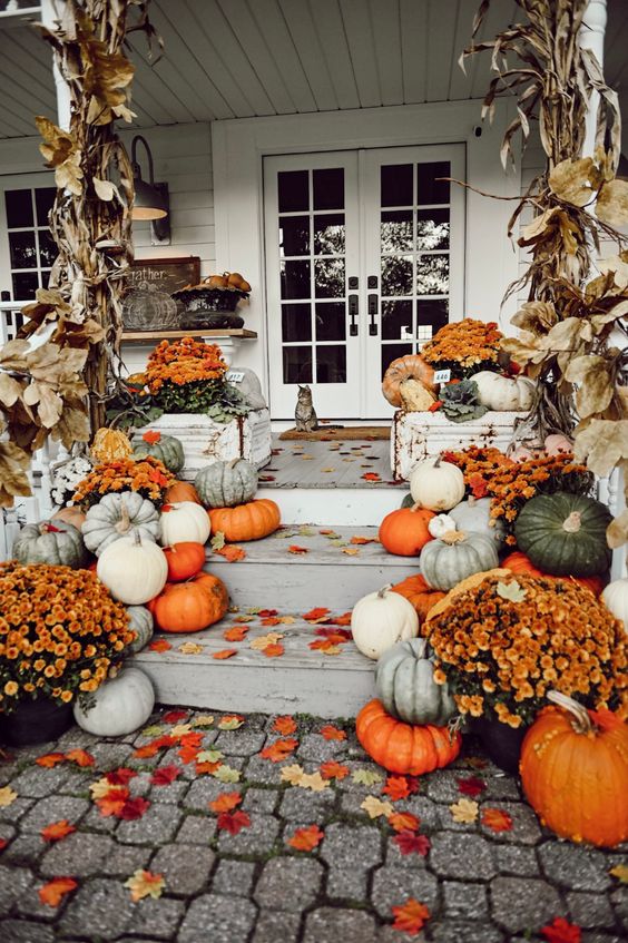 rustic and organic Thanksgiving porch decor with white, light green and orange pumpkins, orange blooms and cron husks