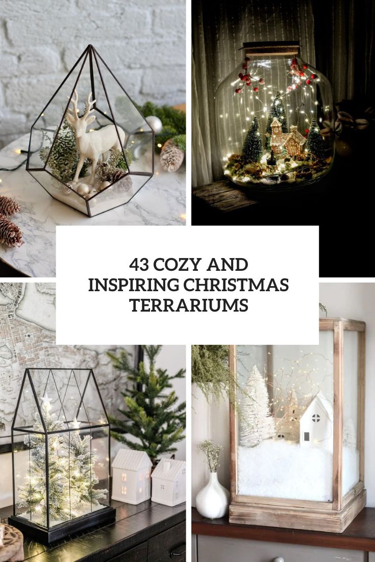 cozy and inspiring christmas terrariums
