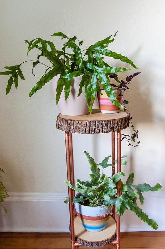 A cool plant stand of tree slices and copper pipes is great for a mid century modern or rustic interior, it can be DIYed
