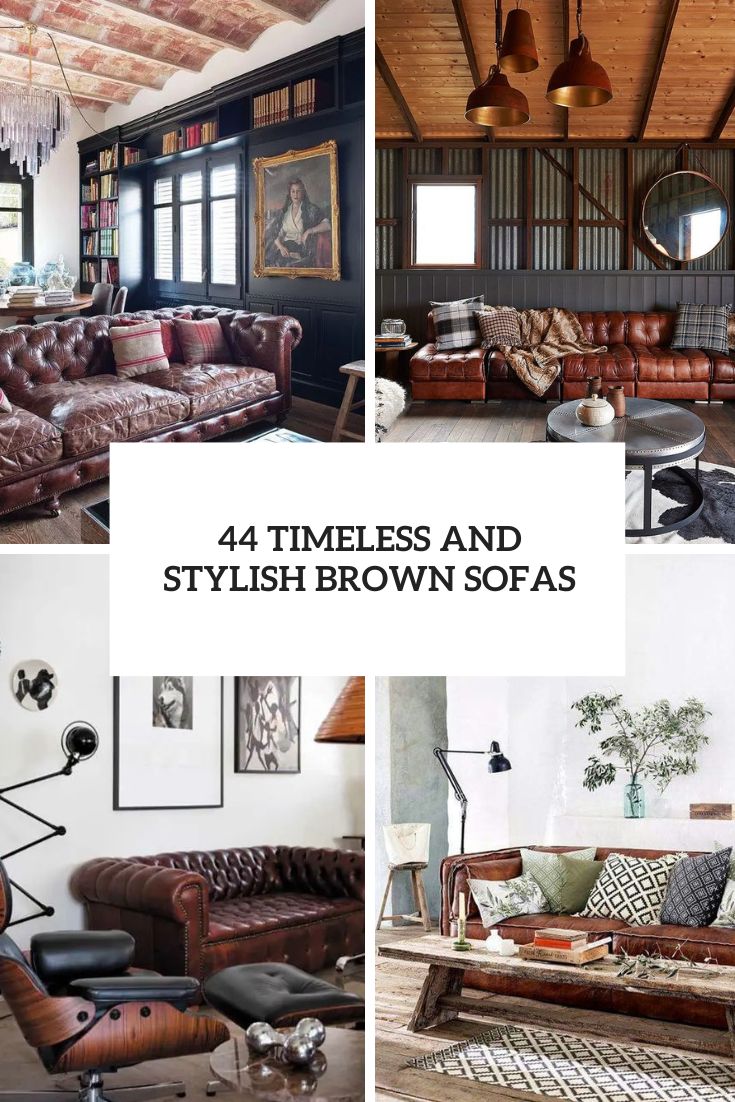 timeless and stylish brown sofas