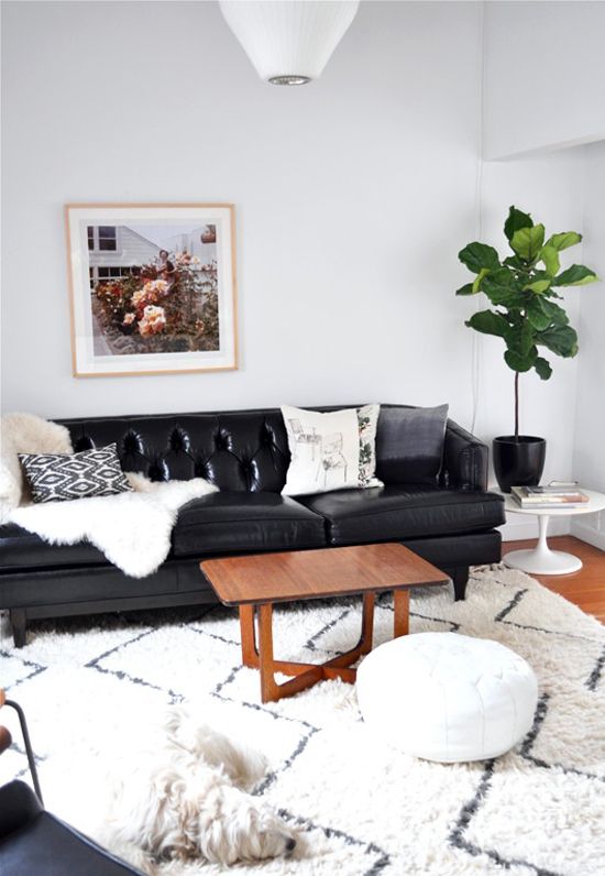 a cozy living room with a black leather sofa, a stained coffee table, a large rug and a white pouf, a potted statement plant