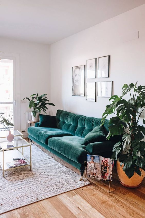 a modern boho living room with a green velvet sofa, potted plants, glass coffee tables and a mini gallery wall