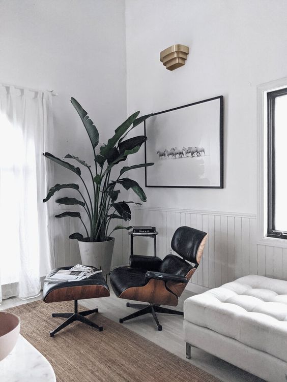 a neutral space with a black Eames lounger and ottoman, a white upholstered bench, a jute rug, a potted plant