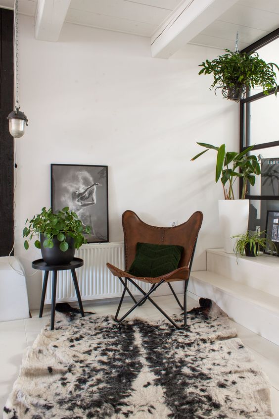 a stylish modern nook with a glass wall and a ladder with potted plants, a brown leather butterfly chair, a bold rug