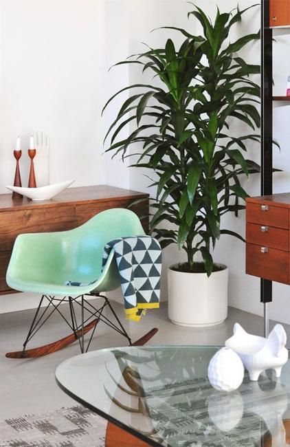 A mid century modern space with rich stained furniture, a mint colored Eames rocker and a statement plant